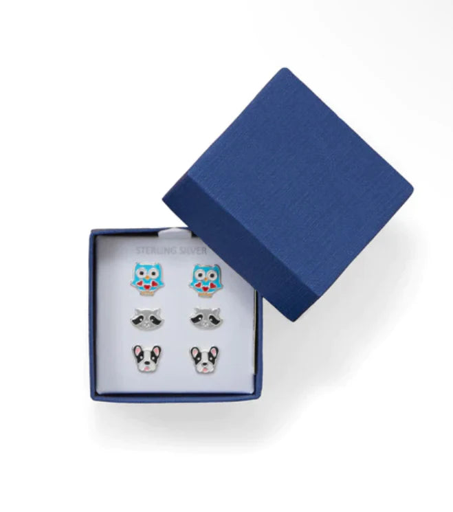 Box Set of Owl, Raccoon & Bulldog Studs