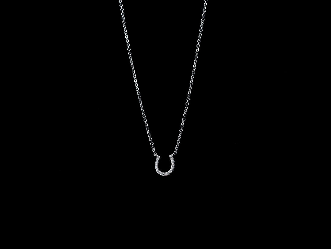 Hallie Horseshoe Necklace