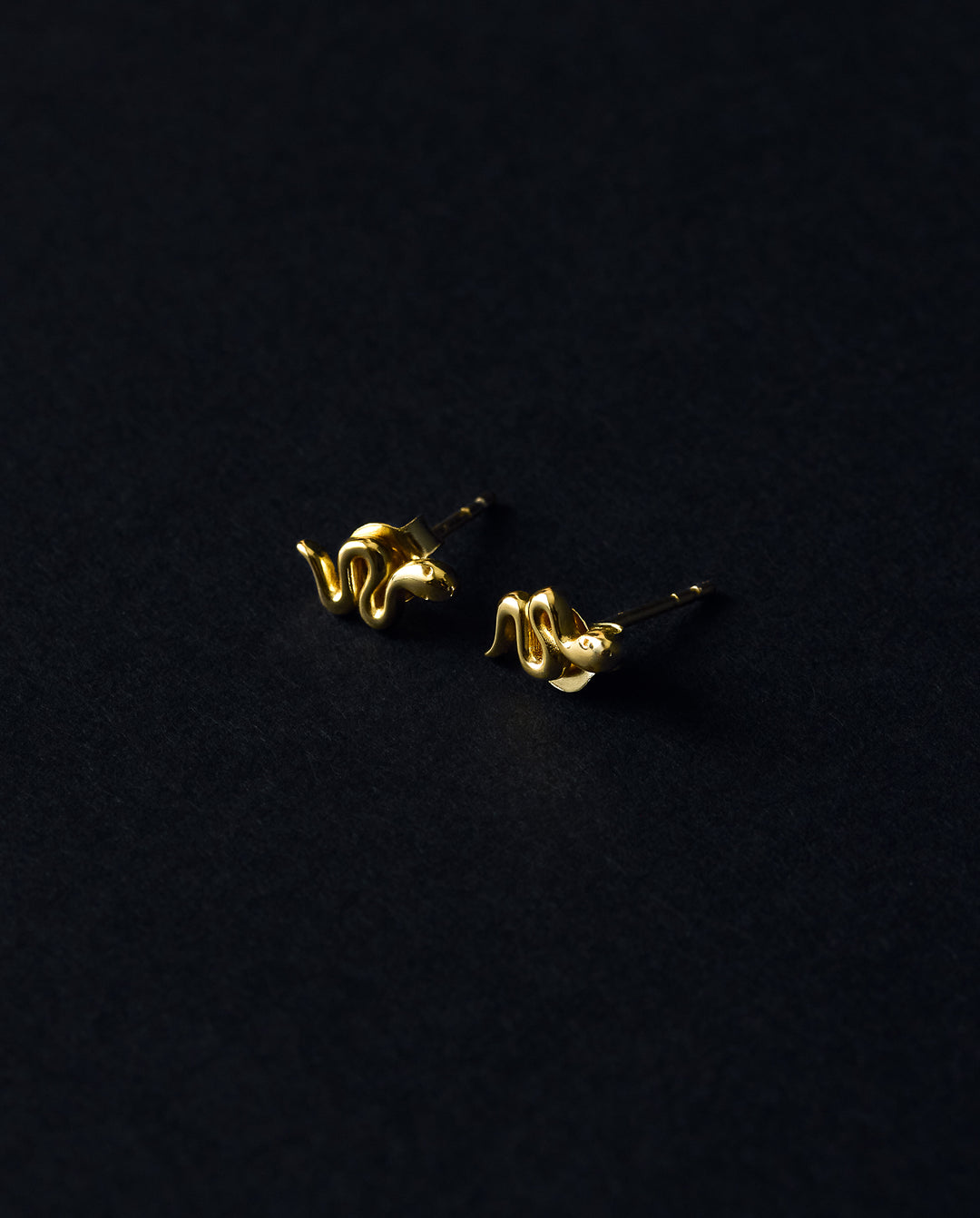 Sienna Snake Studs