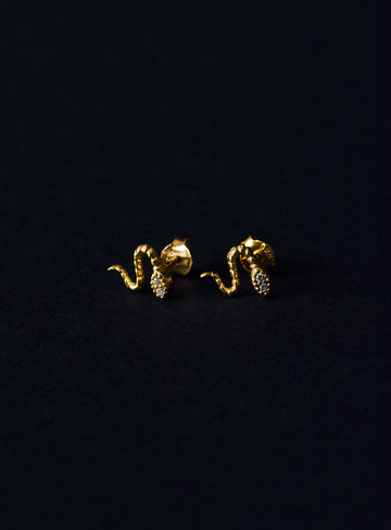 Hillary Hammered Snake Studs